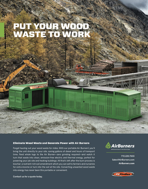 Biomass Editorial Ad